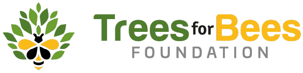 Seeds promo